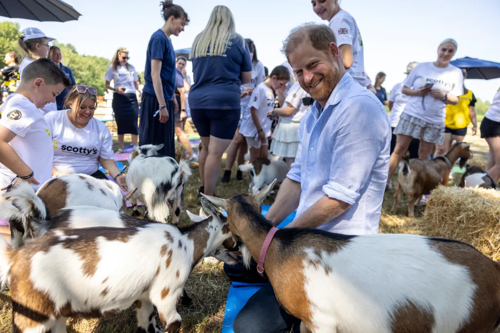 Prince Harry attending a 'Goat Yoga' class at 'Scotty's Summer Festival'.