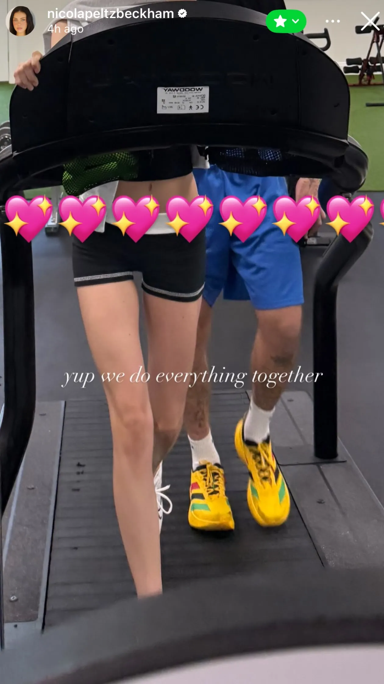 Nicola Peltz and Brooklyn Beckham