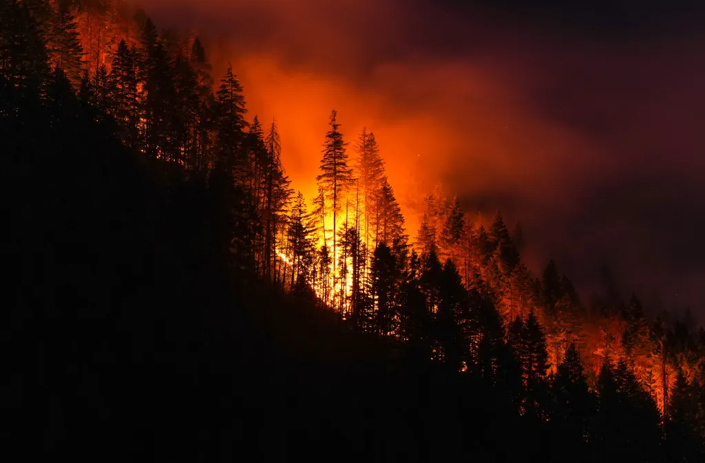 The Brunswick Creek wildfire consumes trees on a mountainside, in Boston Bar, British Columbia, on Thursday, July 9, 2026.