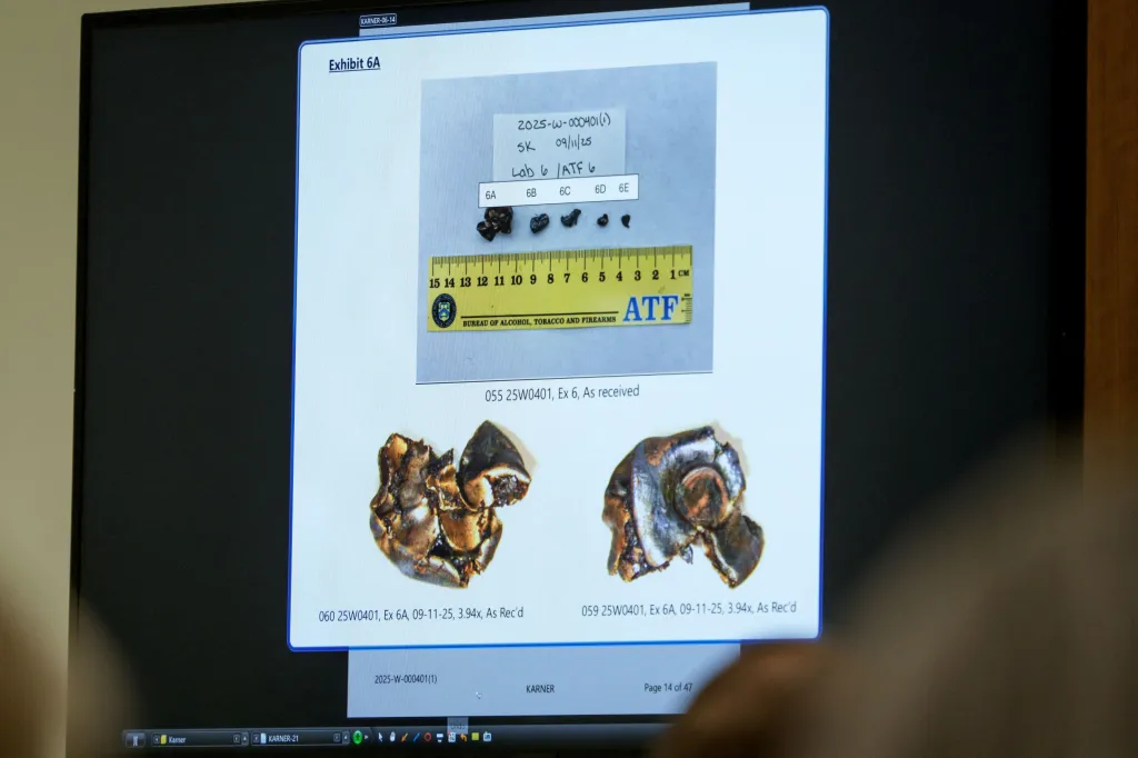 Screen displaying bullet fragments and a ruler as evidence in a court hearing.