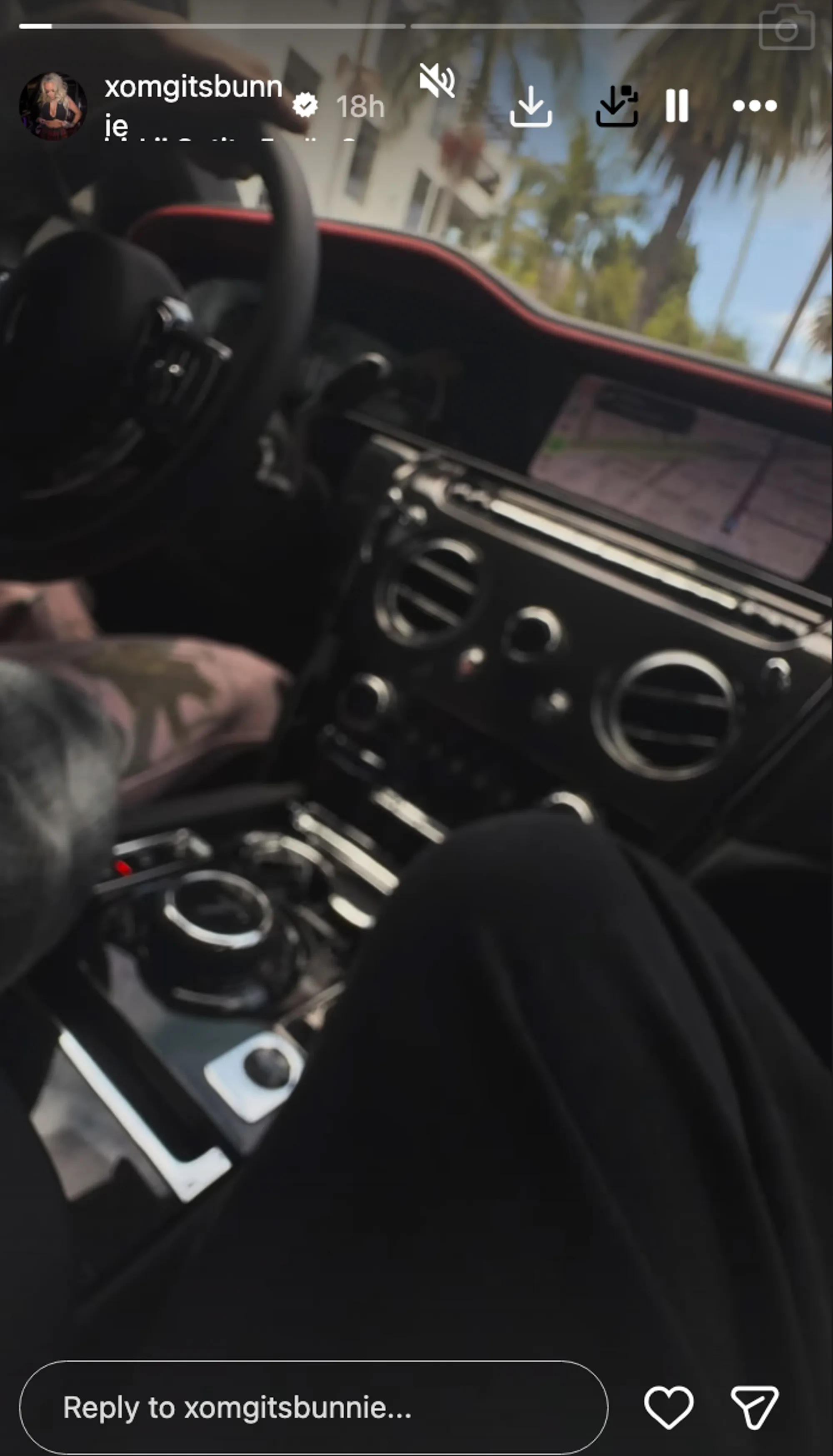 A person sitting inside a luxury car, featuring its steering wheel, dashboard, and central console, with visible palm trees outside the window.