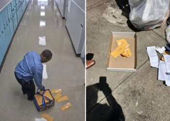 DA launches probe into claims Long Island school clerk trashed ballots to help DJ win election