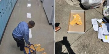 DA launches probe into claims Long Island school clerk trashed ballots to help DJ win election