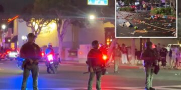 Celebrating freedom shouldn’t come with dangerous, shameful thuggery