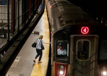 Subway operator injured when tree slams into moving train as it pulled into Yankee Stadium station