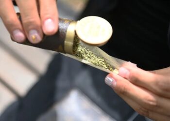 A message for the New York state dopes who voted to legalize weed: Told you so
