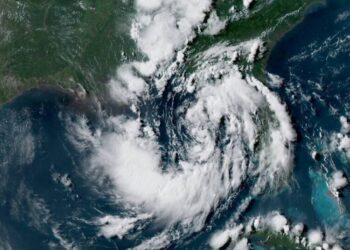 Tropical Storm Warnings Issued as Bertha Moves Along the Gulf Coast