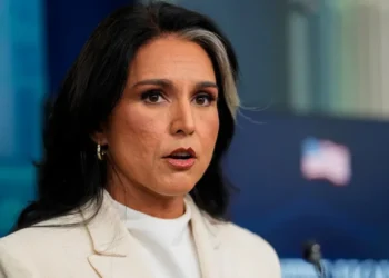 Tulsi Gabbard’s brother jailed for ‘trying to lure children’ to hotel room: report