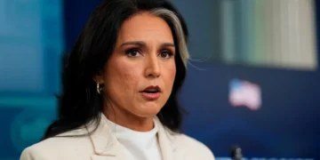 Tulsi Gabbard’s brother jailed for ‘trying to lure children’ to hotel room: report