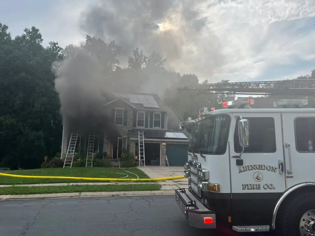 Neighbors rescued two dogs from the home, but a third dog and two cats died in the fire. (