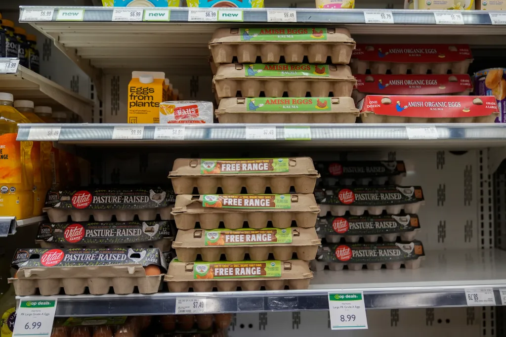 Grocery store shelves stacked with various brands of eggs, including 
