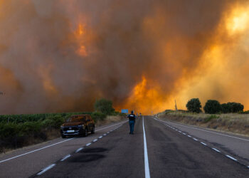 How to Help the Victims of Europe’s Deadly Wildfires