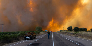 How to Help the Victims of Europe’s Deadly Wildfires