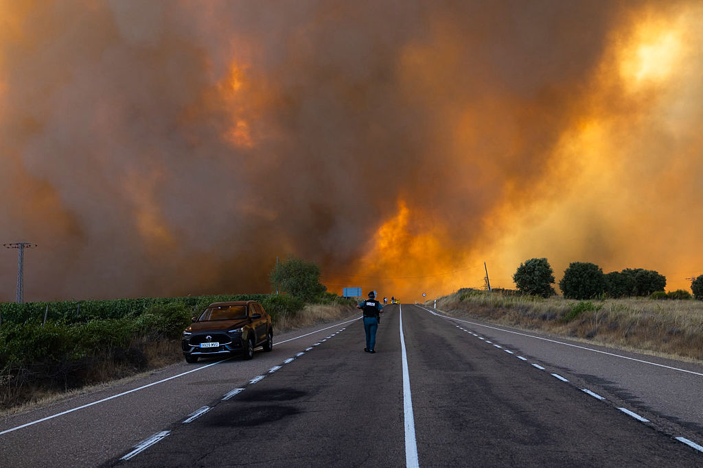 How to Help the Victims of Europe’s Deadly Wildfires