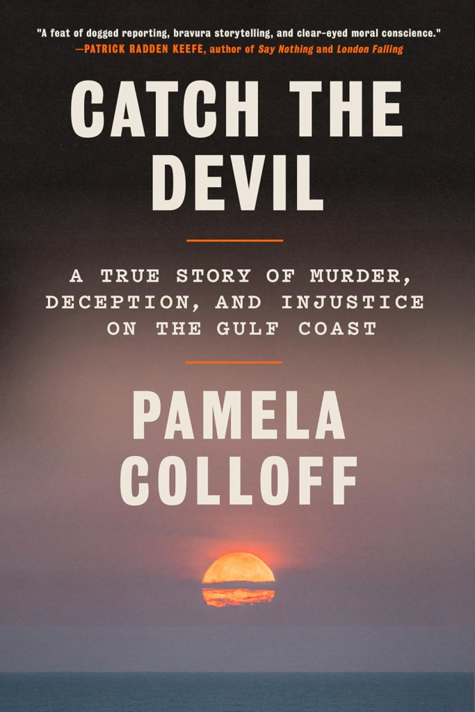 Book cover for