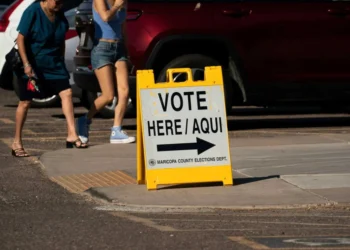 Ex-government official warns Trump’s ‘boyhood pal’ might manipulate midterms