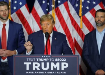Don Jr. and Eric Trump are profiting from their father’s policies: report