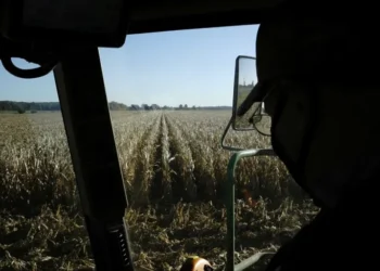 ‘Rude awakening’: farmers say Trump’s ‘drastic’ DEI policy hits them where it hurts