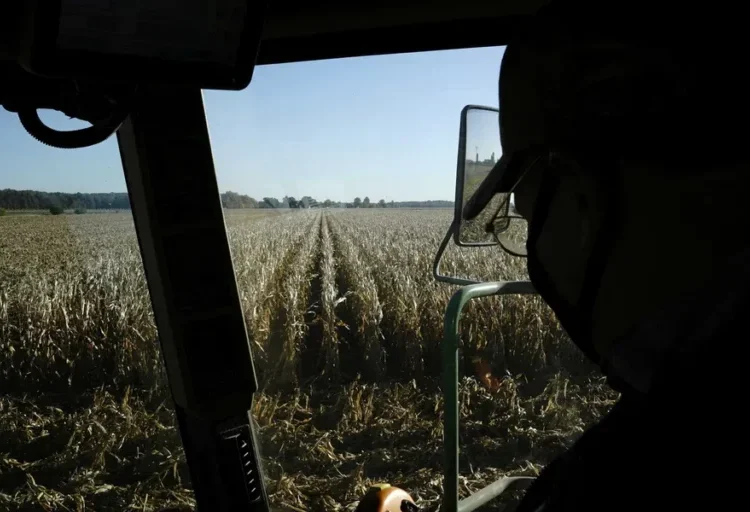 ‘Rude awakening’: farmers say Trump’s ‘drastic’ DEI policy hits them where it hurts
