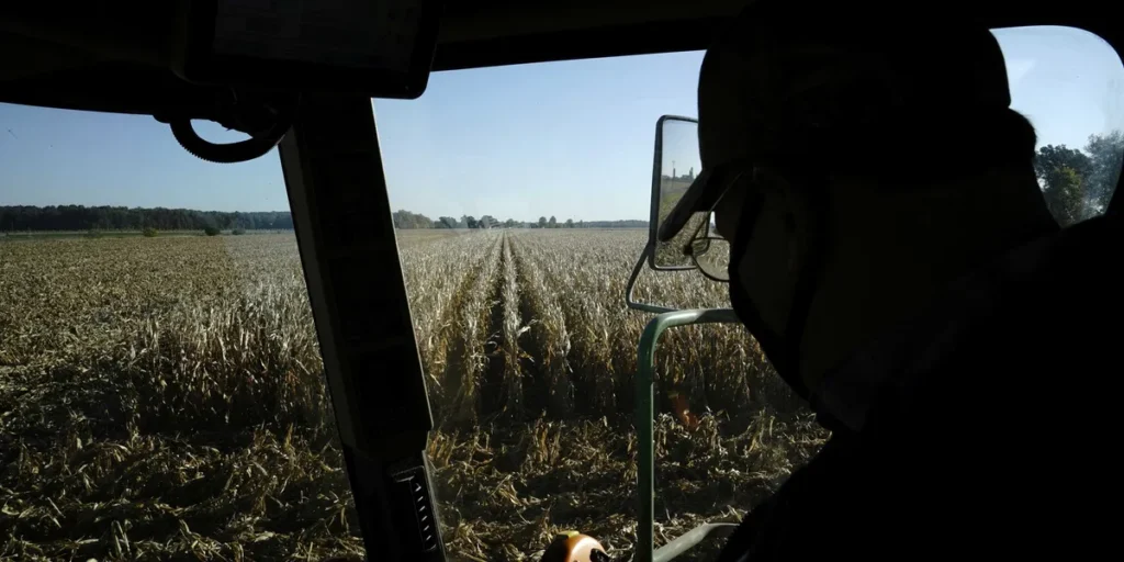‘Rude awakening’: farmers say Trump’s ‘drastic’ DEI policy hits them where it hurts
