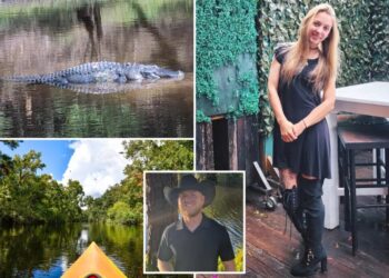 Harrowing 911 call reveals fight to save Brittany Clark after fatal alligator attack: ‘Please hurry that’s my best friend’