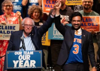 Democratic socialists have big plans for 2028