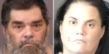Kansas parents allegedly left 6 kids, including 2 infants, in hot car while they dined at a Wingstop