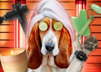 Meet the pet owners spending thousands of dollars on doggy wellness — from $800 red light therapy to $750 PEMF beds