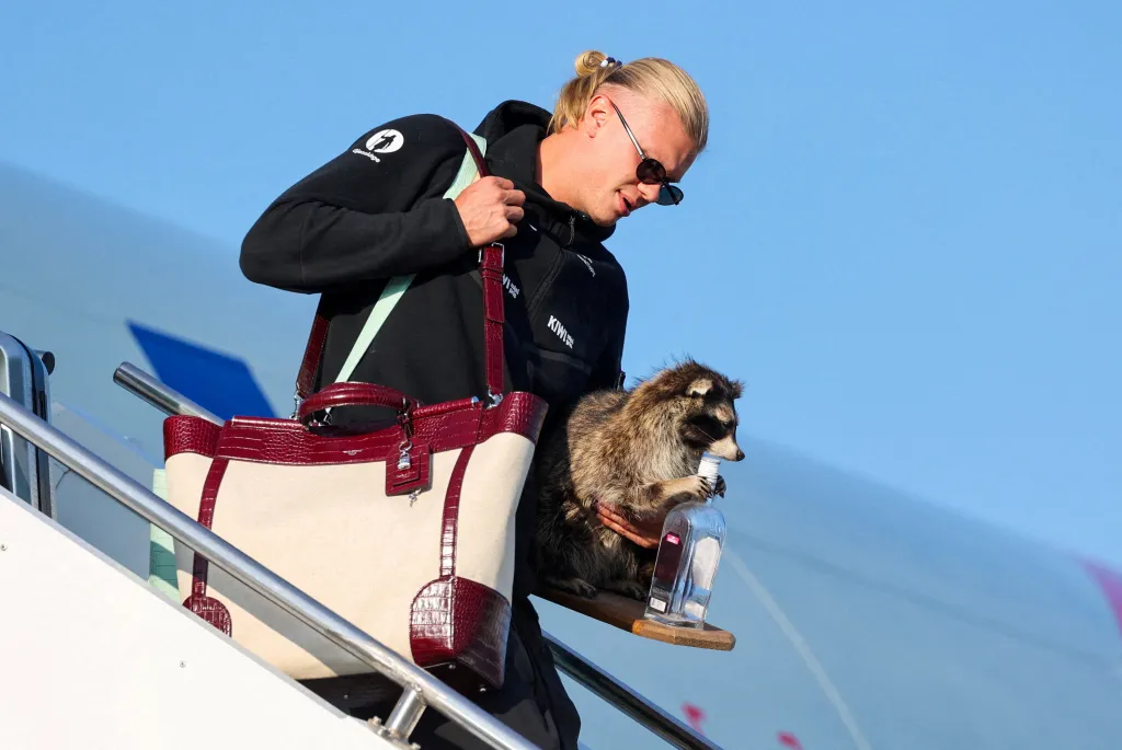 Erling Braut Haaland carries a stuffed raccoon while getting off a plane at Oslo Airport.