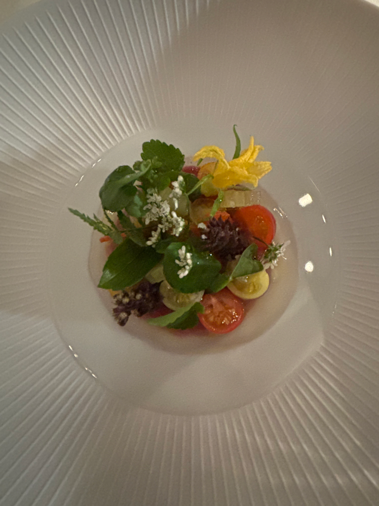 A white plate with a colorful salad in the middle.