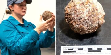 Rare cannonball emerges from ground at the Alamo, likely untouched for nearly 190 years