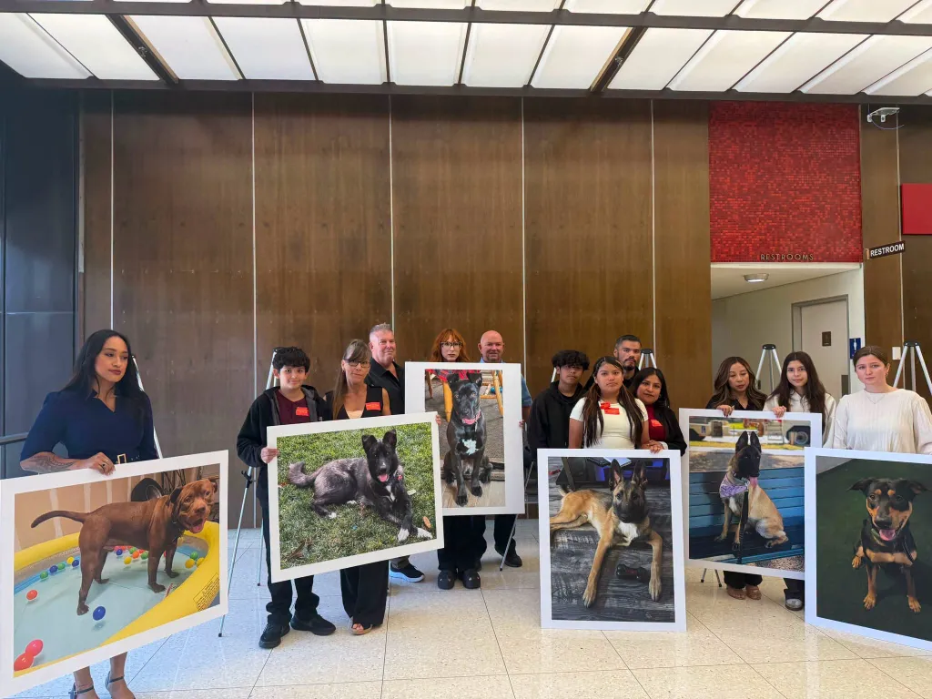 People holding large photos of dogs.