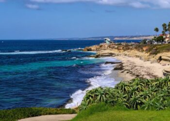 Horror as body washes ashore near America’s top beach