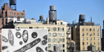 Over half the cooling towers in NYC Legionnaires’ outbreak area issued violations in recent months: records