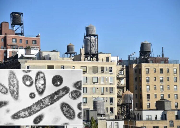 Over half the cooling towers in NYC Legionnaires’ outbreak area issued violations in recent months: records