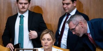 MAGA rages at Lindsey Graham’s sister over $100 check: ‘Neither honest nor self-aware’