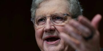 Senate Republican committed ‘political malpractice’ on CBS’ Face the Nation: conservative