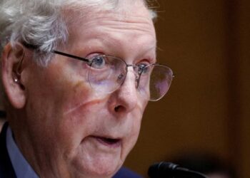 McConnell health scare sparks MAGA civil war as rebel Republican weighs in