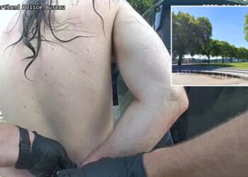 Naked man tries to kidnap 7-year-old tourist from mother at Portland park, bystanders intervene