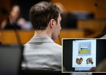 Gun expert claims she received only 4 bullet fragments despite the total of 7 recovered from crime scene