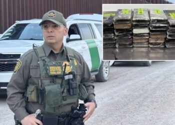 Texas border officers crack open cabbage shipment, uncover $10.8M worth of cocaine