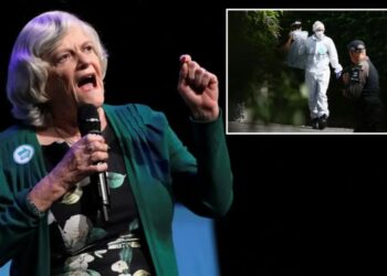 Ex-UK government minister Ann Widdecombe killed in ‘targeted attack’ at home but motive still being probed: cops