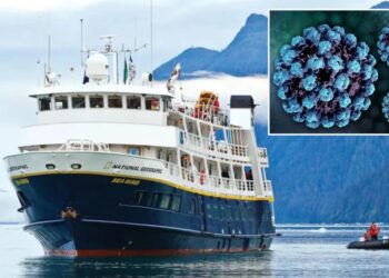 National Geographic Sea Bird cruise ship hit with 3rd norovirus outbreak since May