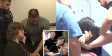 Kansas high school teacher dragged out, arrested for clapping at city meeting over proposed data center