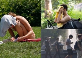 NYC bakes as Central Park hits 100 degrees for first time in over a decade amid blistering heatwave
