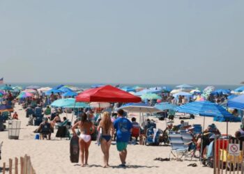 Suspected shark attack at NY beach leaves swimmer’s ‘bone’ exposed: sources