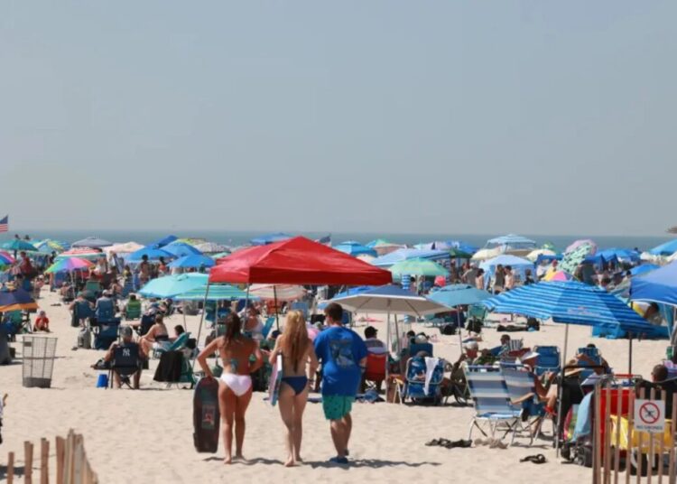 Suspected shark attack at NY beach leaves swimmer’s ‘bone’ exposed: sources