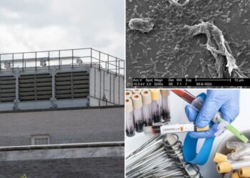 First death reported in NYC’s legionnaires disease outbreak as number of infected rises
