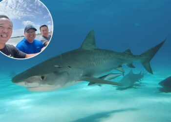 Come hell or high water: How three friends survived a shipwreck and a shark attack in the Gulf of Mexico