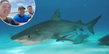 Come hell or high water: How three friends survived a shipwreck and a shark attack in the Gulf of Mexico